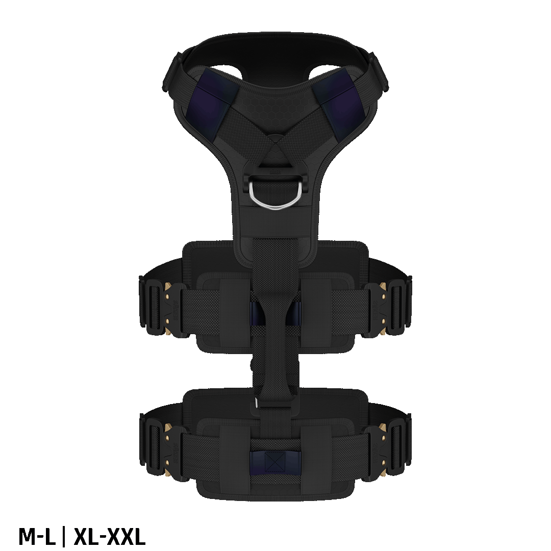 Ascension Extended Harness - Black