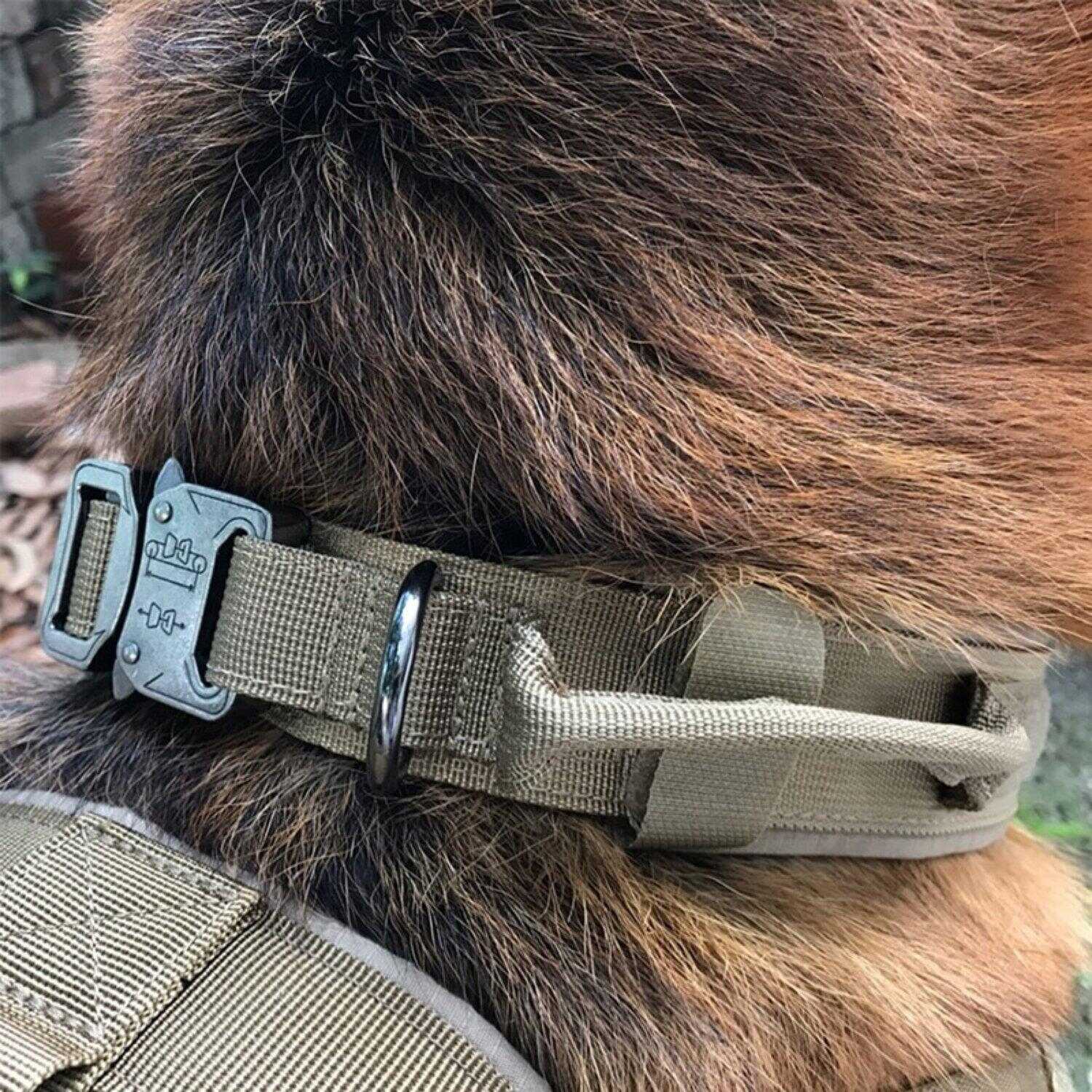 Personalized Tactical Collar With Handle