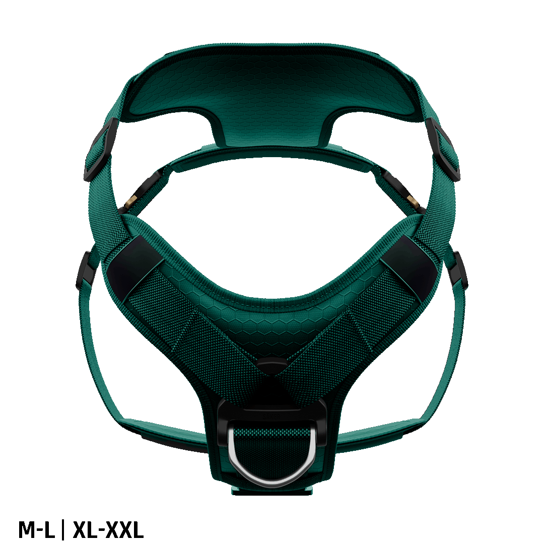 Ascension Core Harness - Tazer Teal