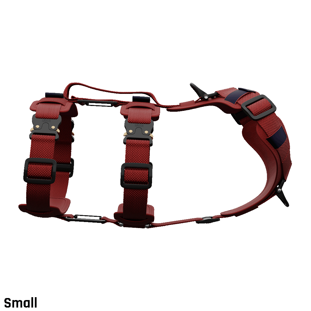 Ascension Extended Harness - Blazing Red