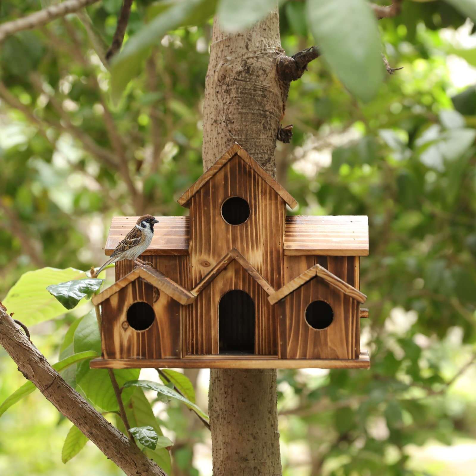 Last Day 50% OFF6 Hole Handmade Natural Bird House for Backyard/Courtyard/Patio Decor