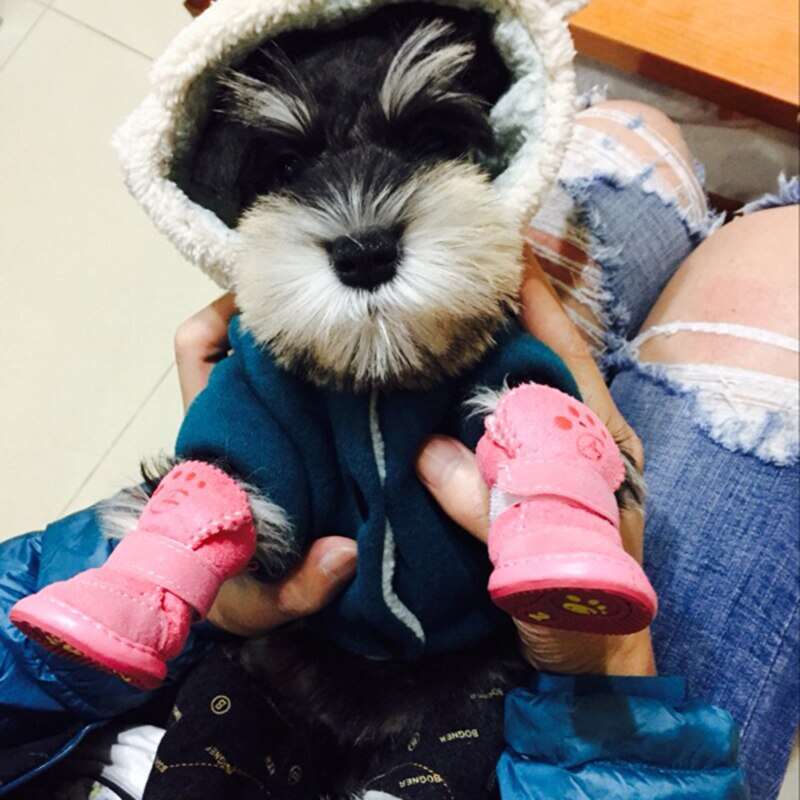 Tiny Paws Snow Boots