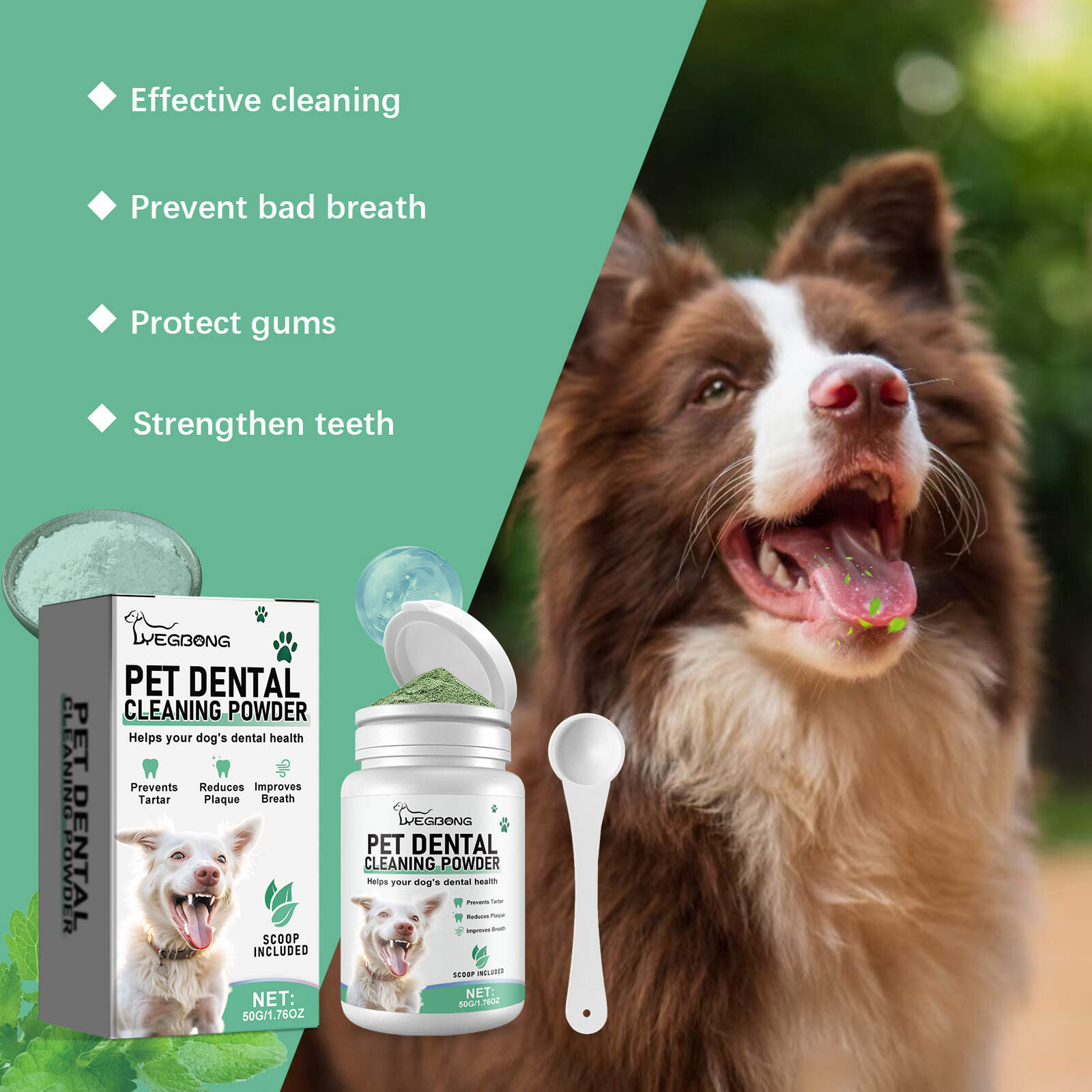 Pet Dental Cleaning