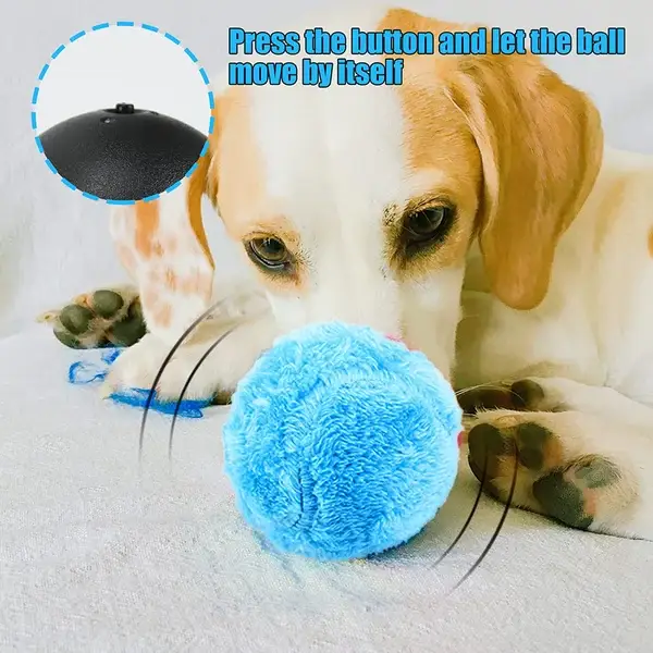 🐾Mega Sale - Active Rolling Ball (4 Colors Included)