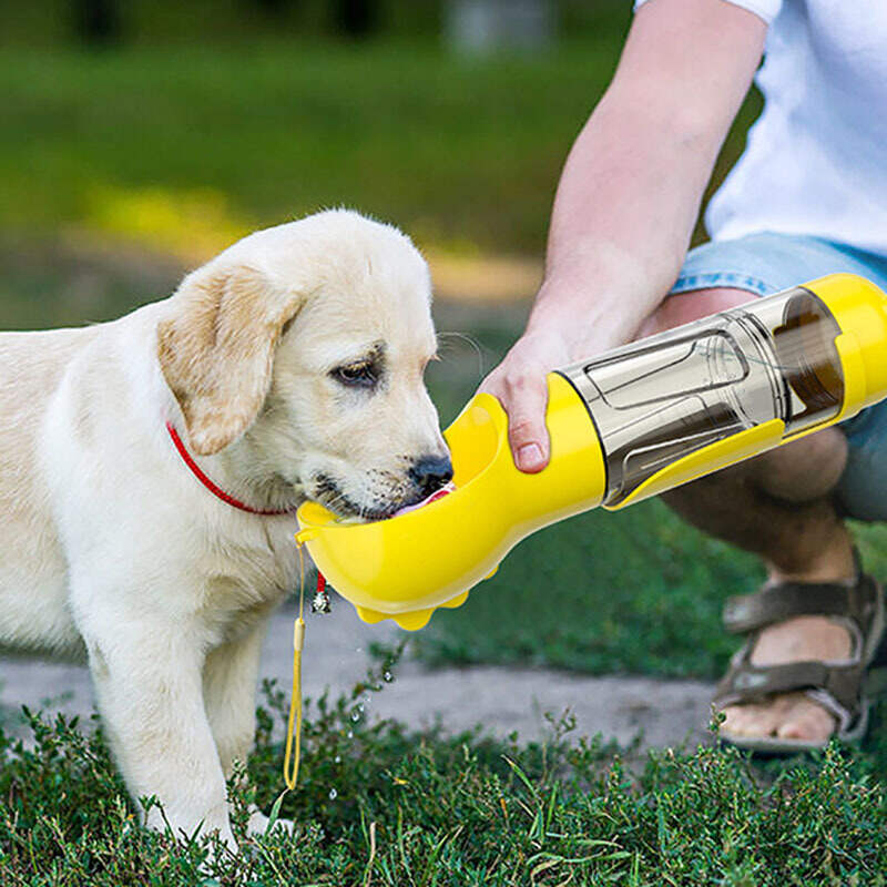 🔥Last Day Promotion -50% OFF🔥4-in-1 Portable pet supplies container