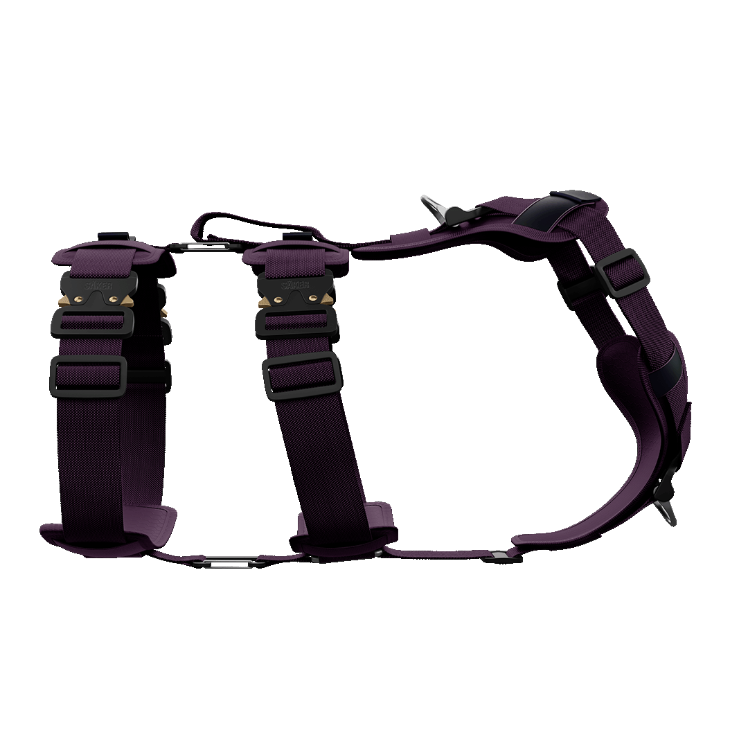 Ascension Extended Harness - Prairies Purple