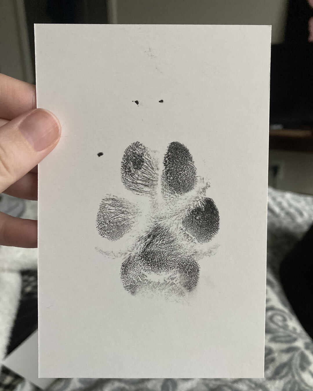 XL Everlasting Paw Print Pad