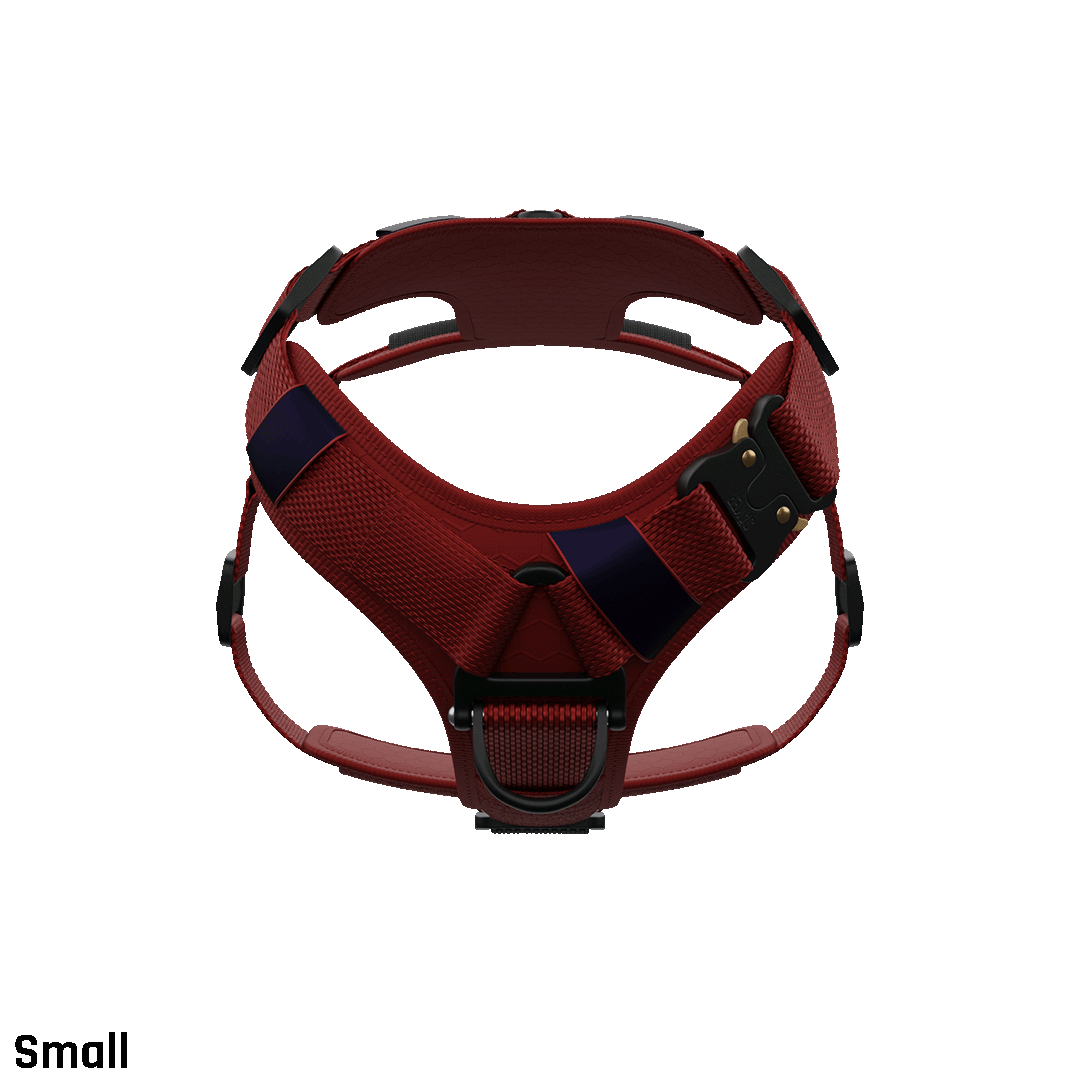 Ascension Core Harness - Blazing Red