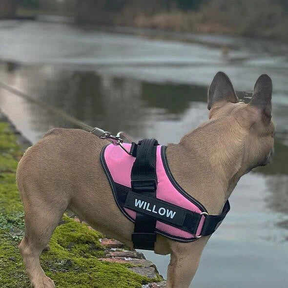 Personalized No Pull Dog Harness