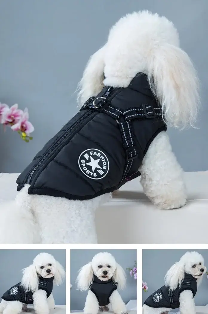 Waterproof Furry Jacket for Dogs of All Sizes