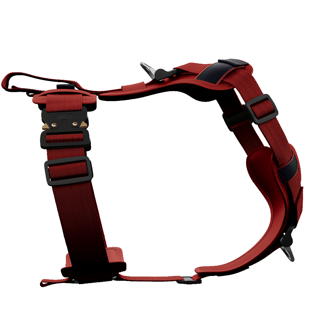 Ascension Core Harness - Blazing Red