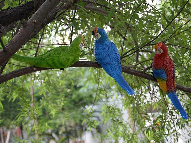 Resin Parrot Bird Statue