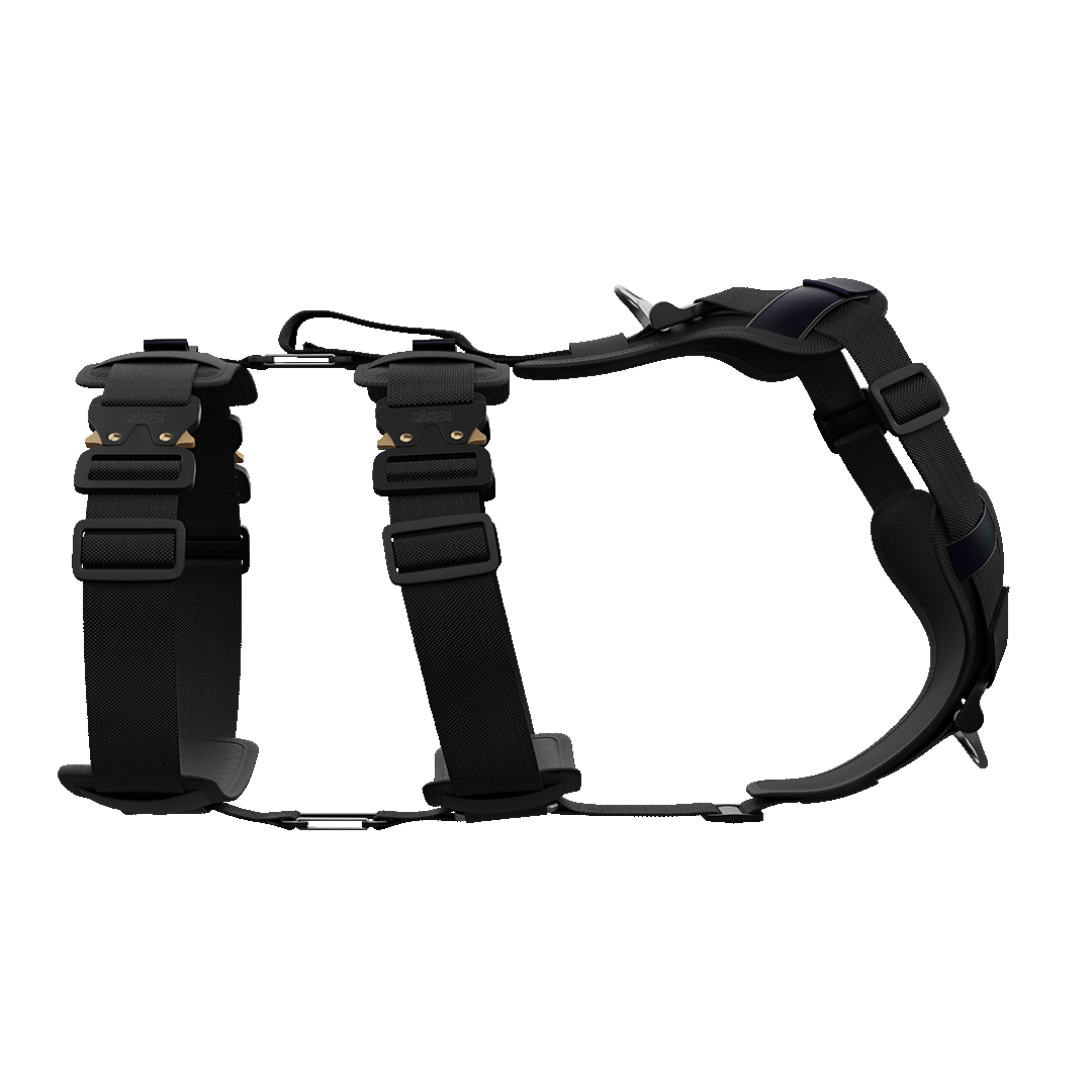 Ascension Extended Harness - Black