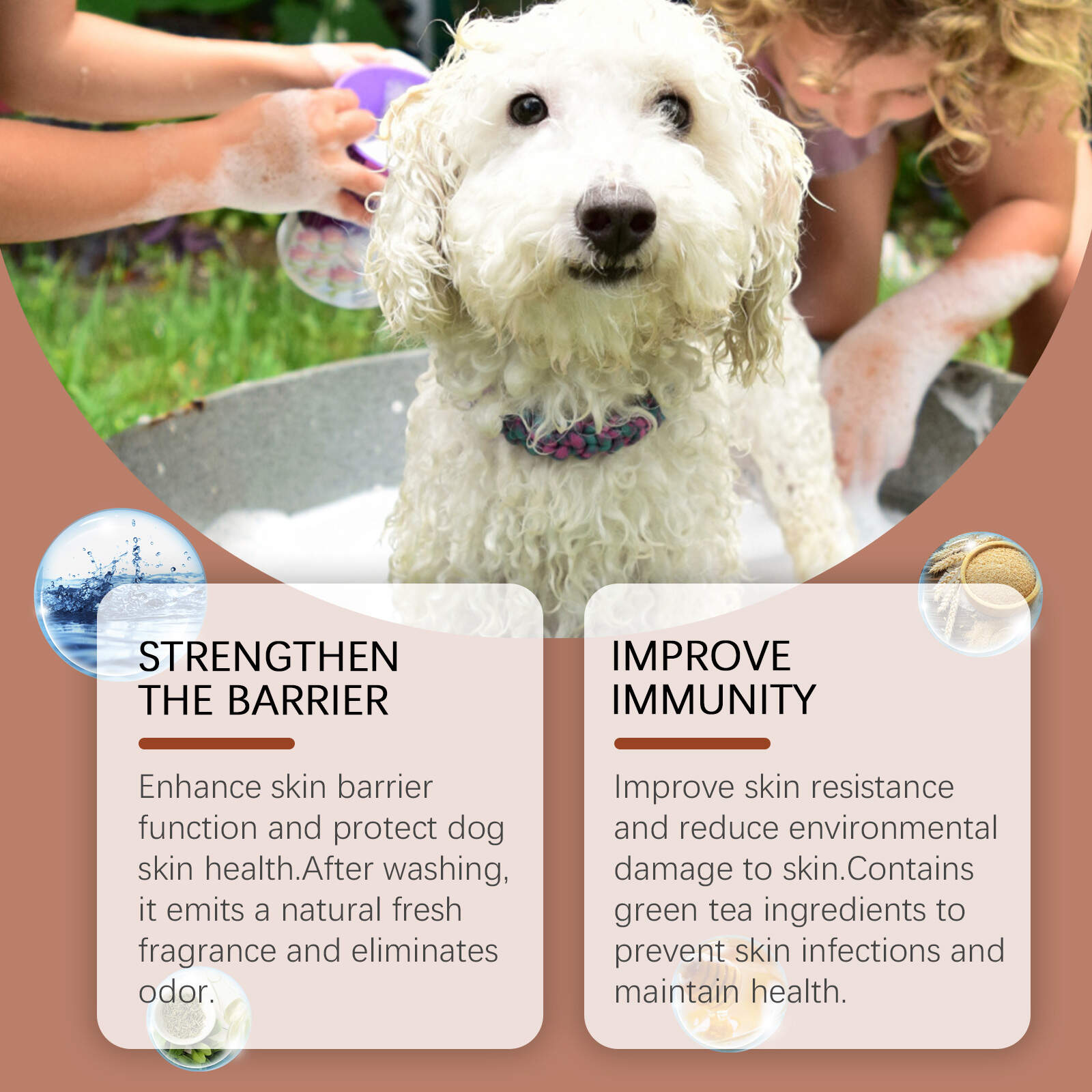 Hypoallergenic Shampoo For Dogs