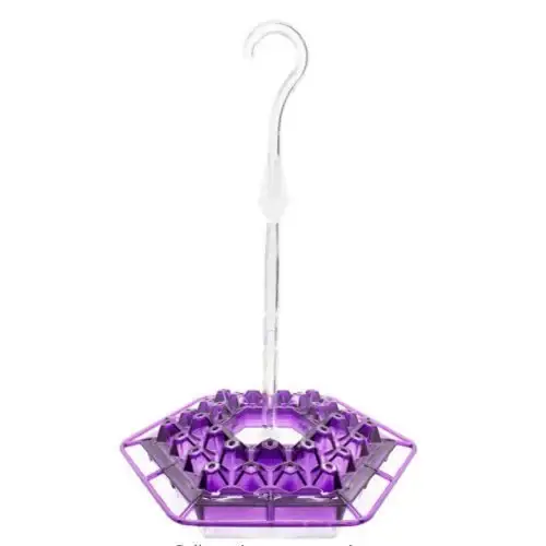 🔥2023 Spring Hot Sale 49% OFF - Mary's Hummingbird Feeder With Perch And Built-in Ant Moat（BUY 3 FREE SHIPPING）