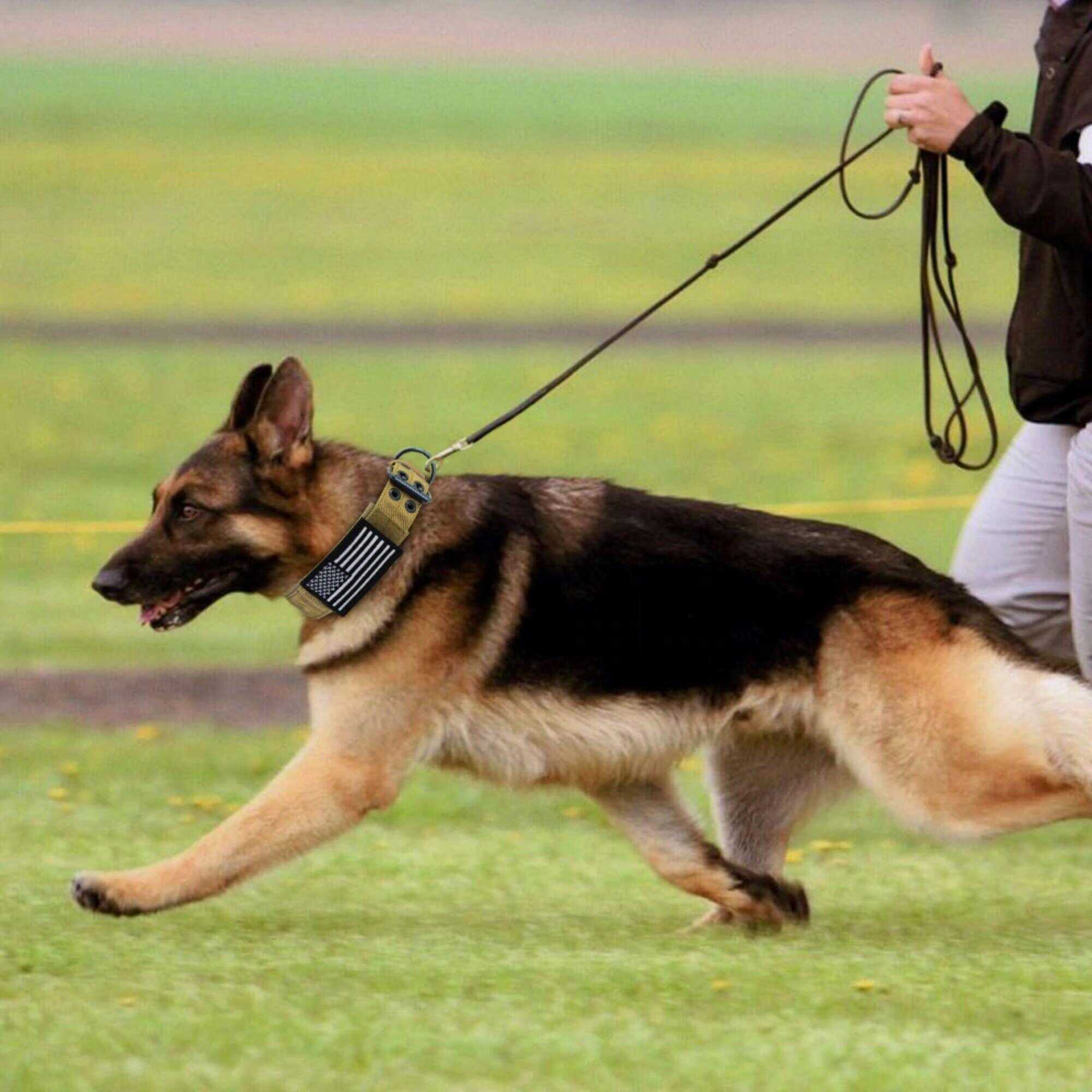 Personalized Tactical Dog Collar