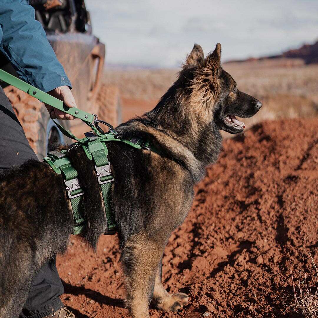 Ascension Extended Harness - Woodland Green