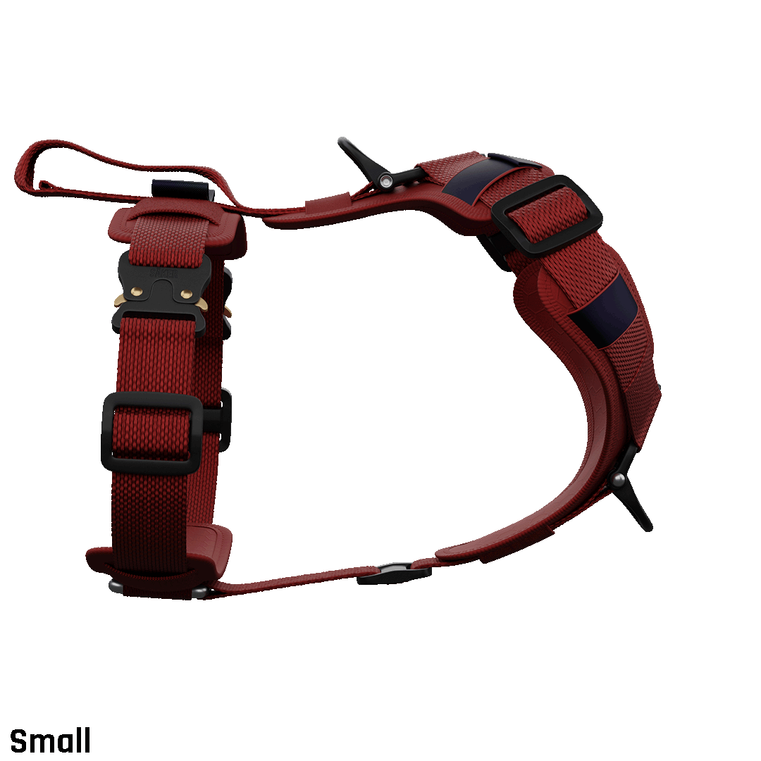 Ascension Core Harness - Blazing Red