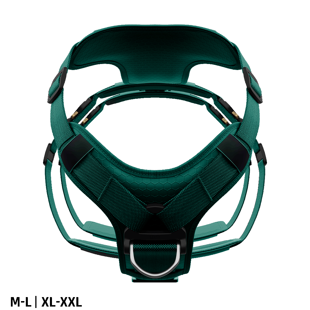 Ascension Extended Harness - Tazer Teal