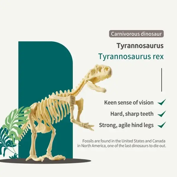 Great Educational Toy for Kids🎁New Arrival Dinosaur Fossil Digging Kit - Get Three Tools For Free🔥