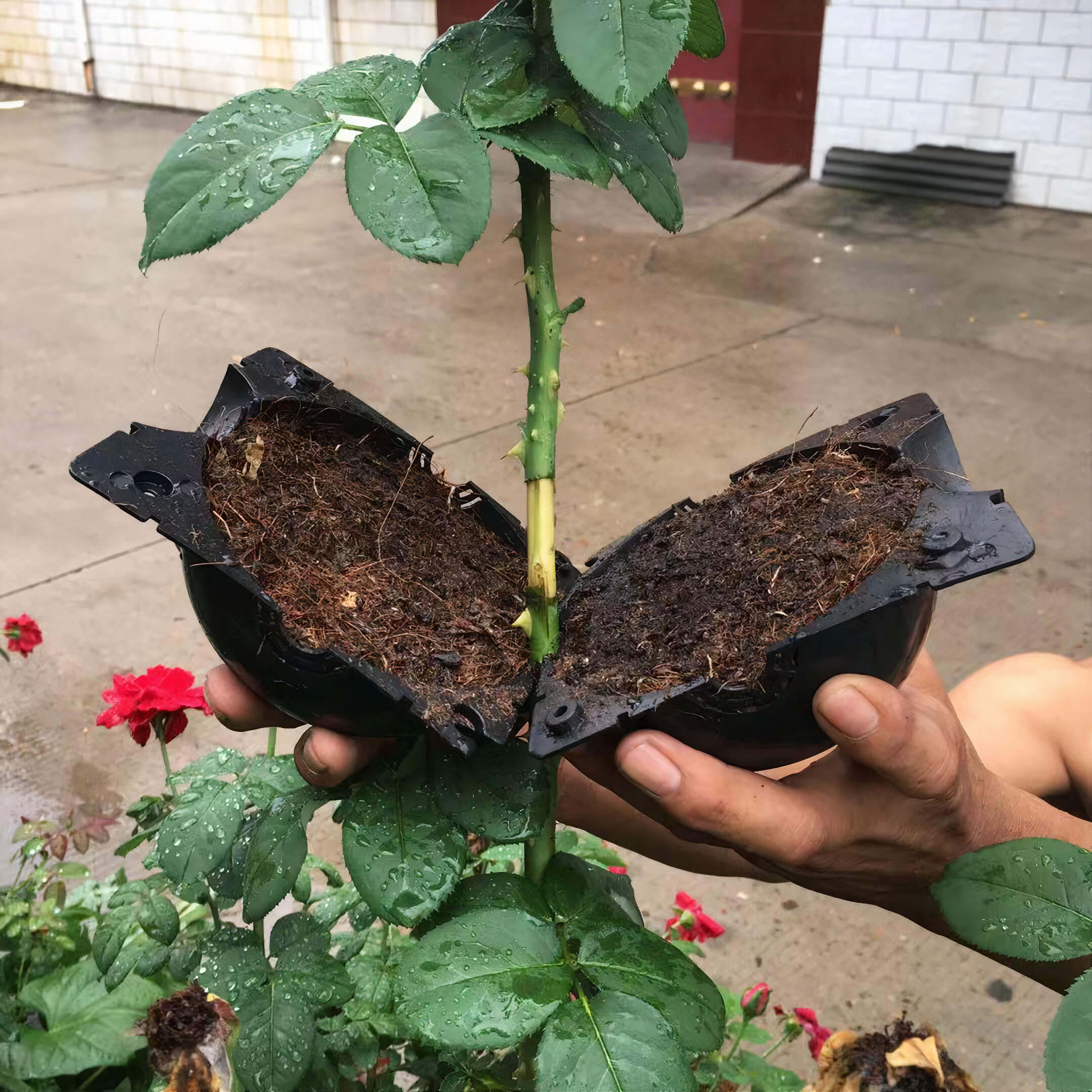 2PCS/Set PlantPods Kit