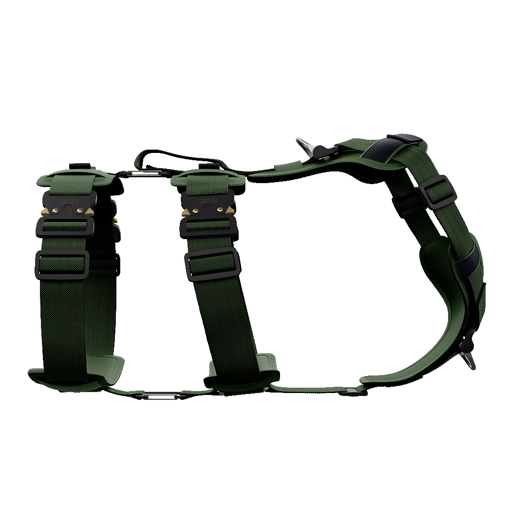 Ascension Extended Harness - Woodland Green