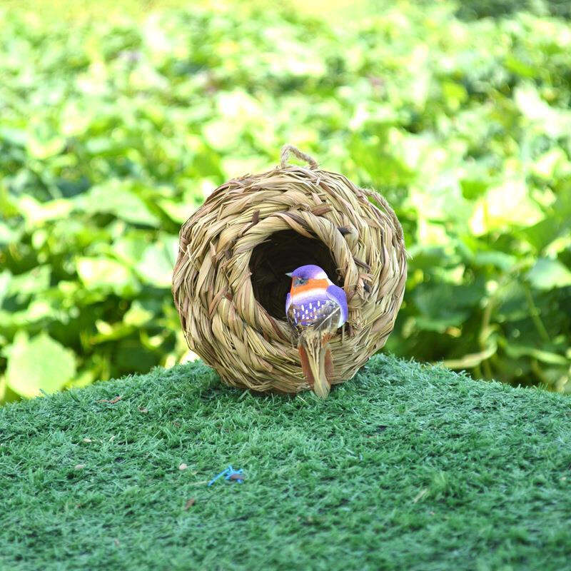 Hummingbird Nest House