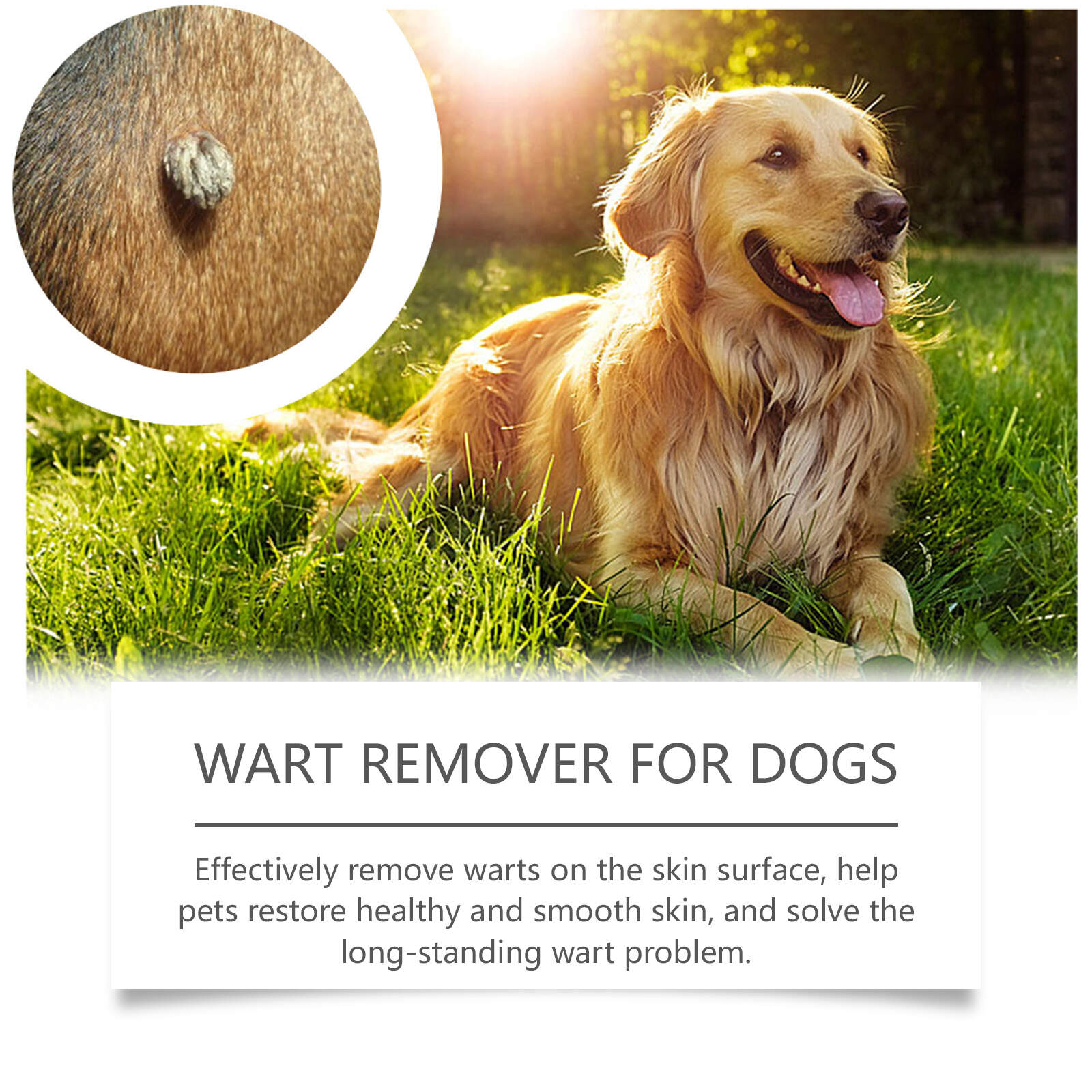 Wart Remover For Dogs