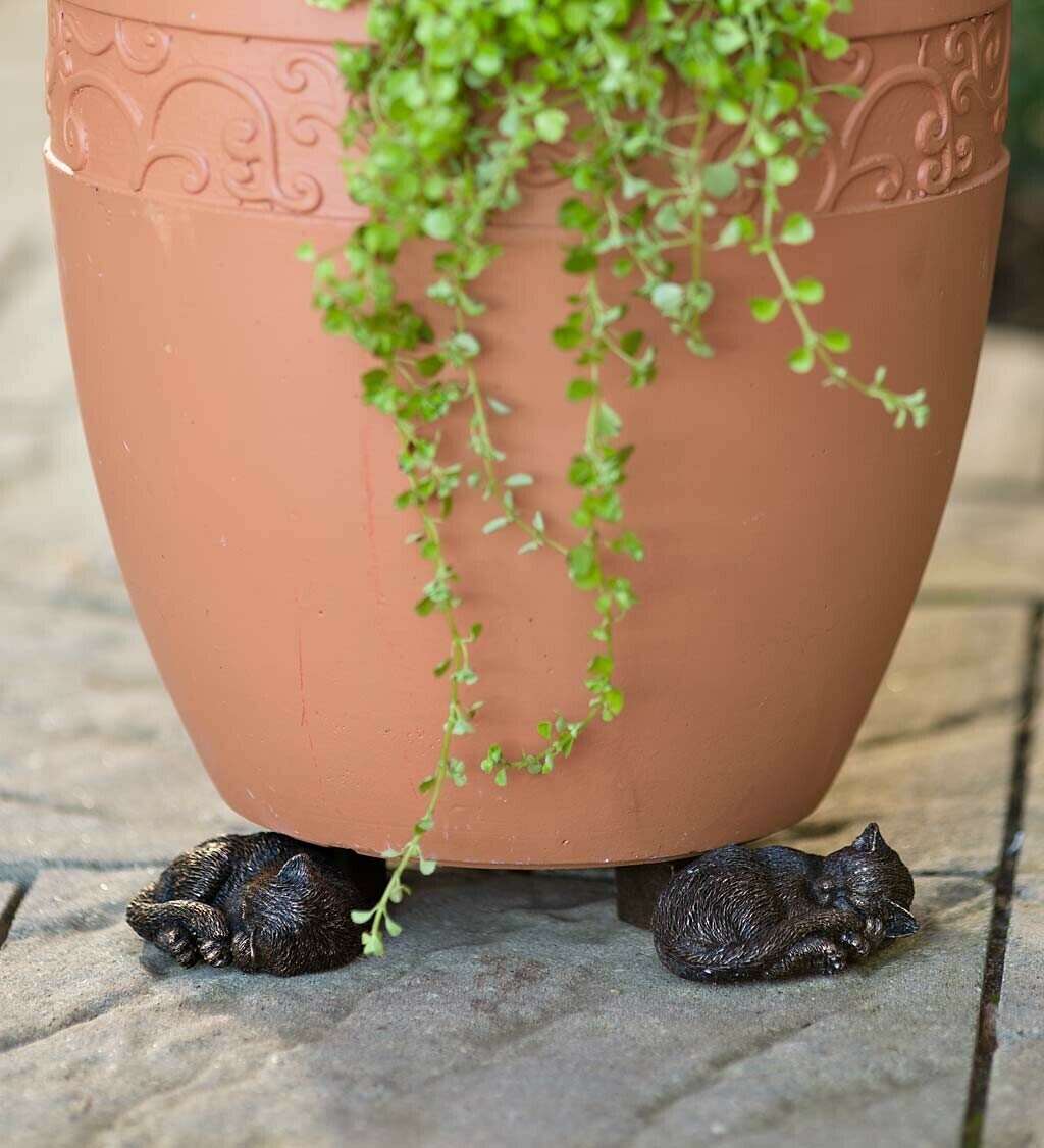Last Day 50% OFF Cute Animal Shaped Pots Feet (Set of 3)-Hot Sale