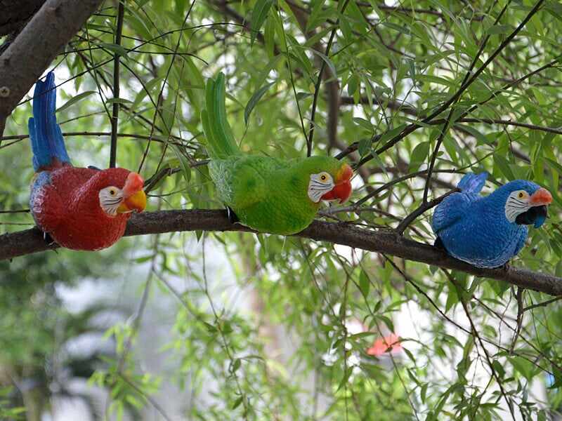 Resin Parrot Bird Statue