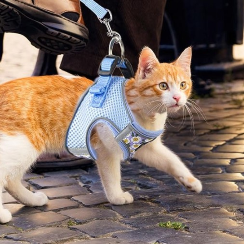 Floral Pet Harness Set