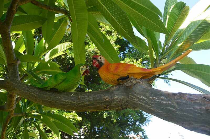 Resin Parrot Bird Statue