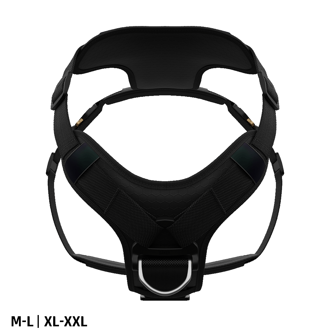 Ascension Core Harness - Black