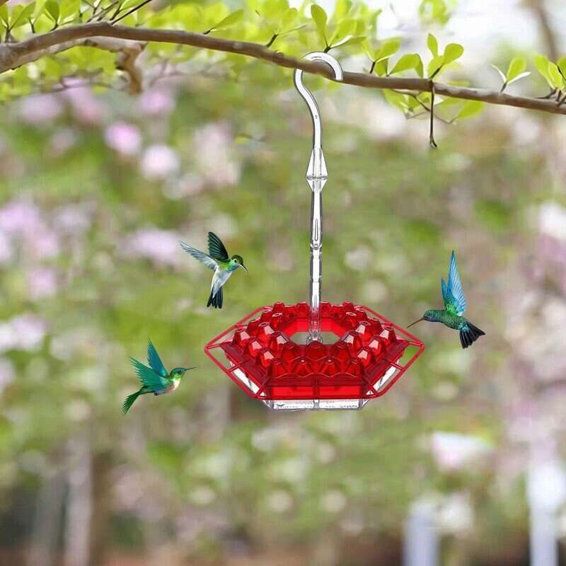 Hummingbird Feeder With Perch And Built-in Ant Moat
