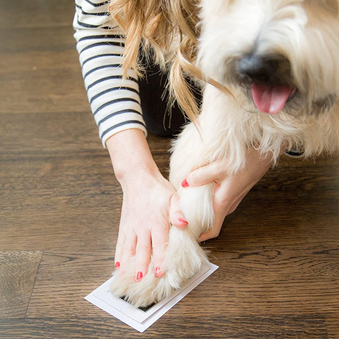 Everlasting Paw Print