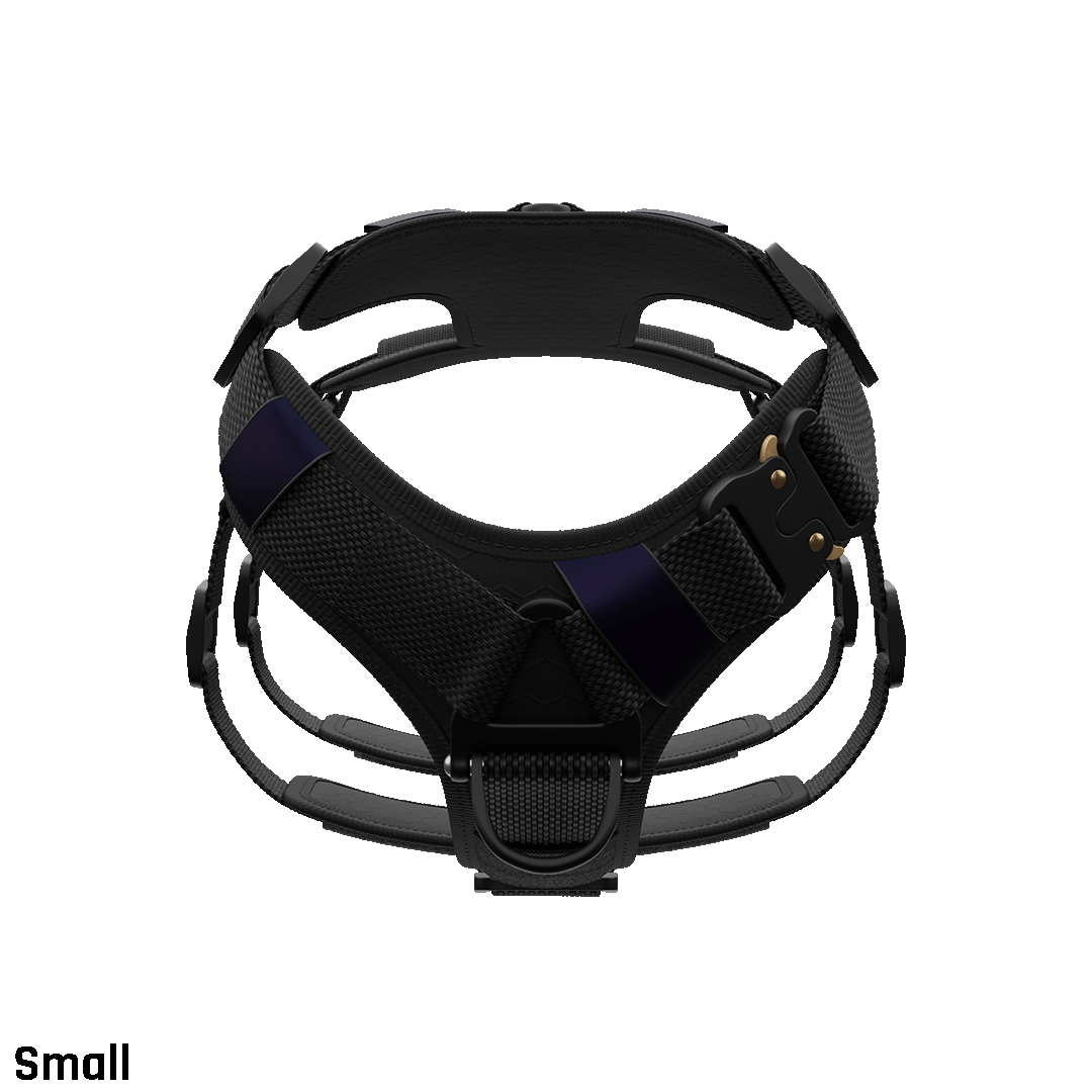 Ascension Extended Harness - Black