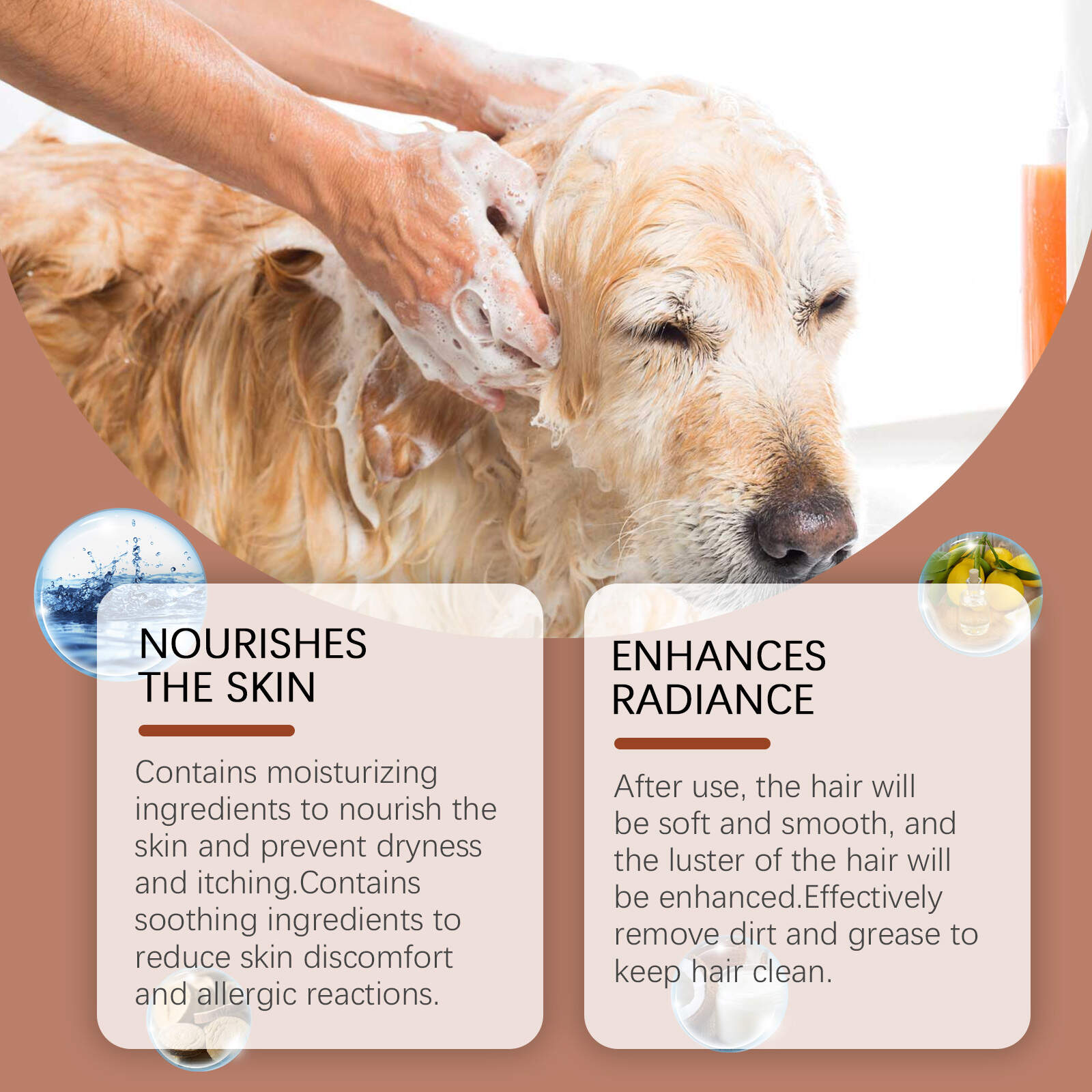 Odor Control Pet Shampoo For Dogs