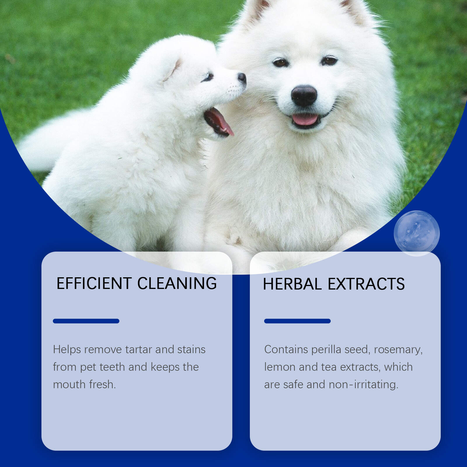 Pet Dental Cleaning Powder