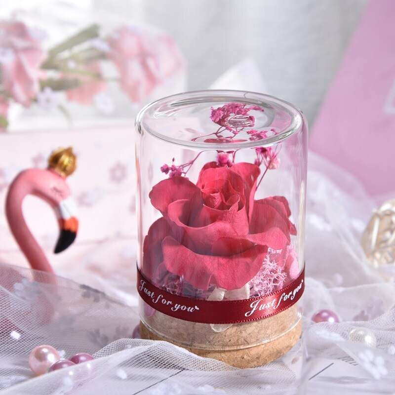 Rose Real Flower Glass Gift for Valentine's Day