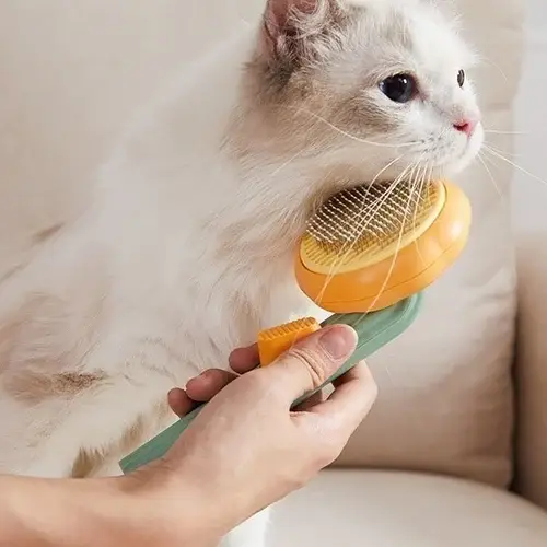 NEW YEAR HOT SALE 40% OFF-Pumpkin Pet Grooming Tool Pet Remove Hair Brush-BUY 2 FREE SHIPPING