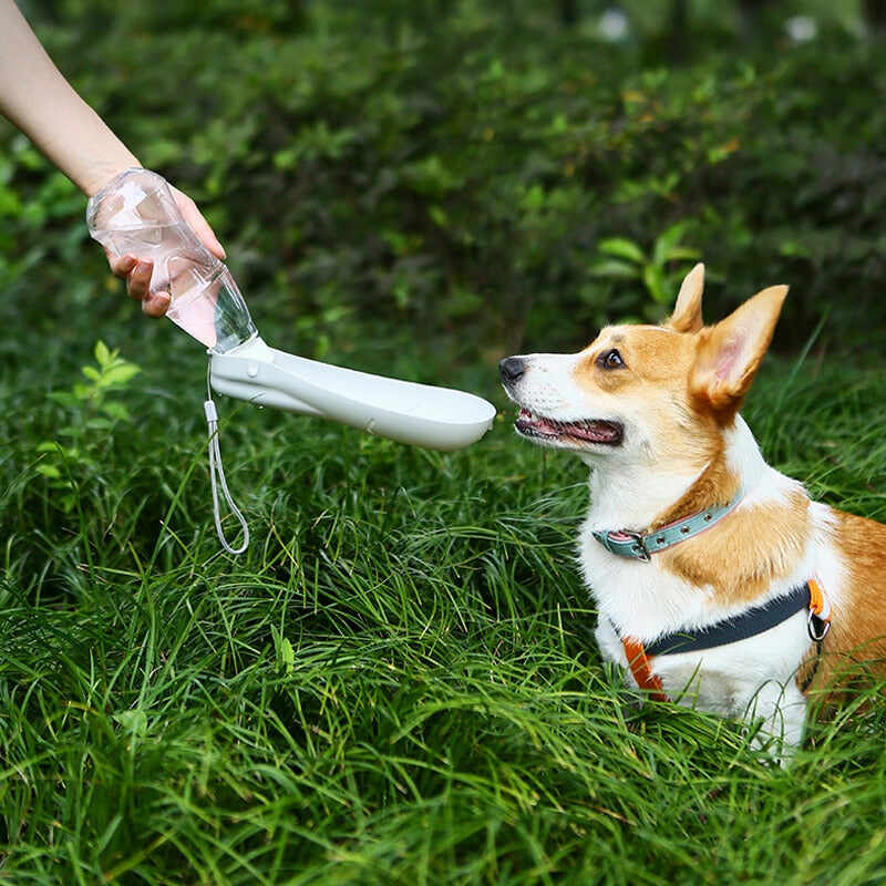 450ml Foldable PET  Water Bottle