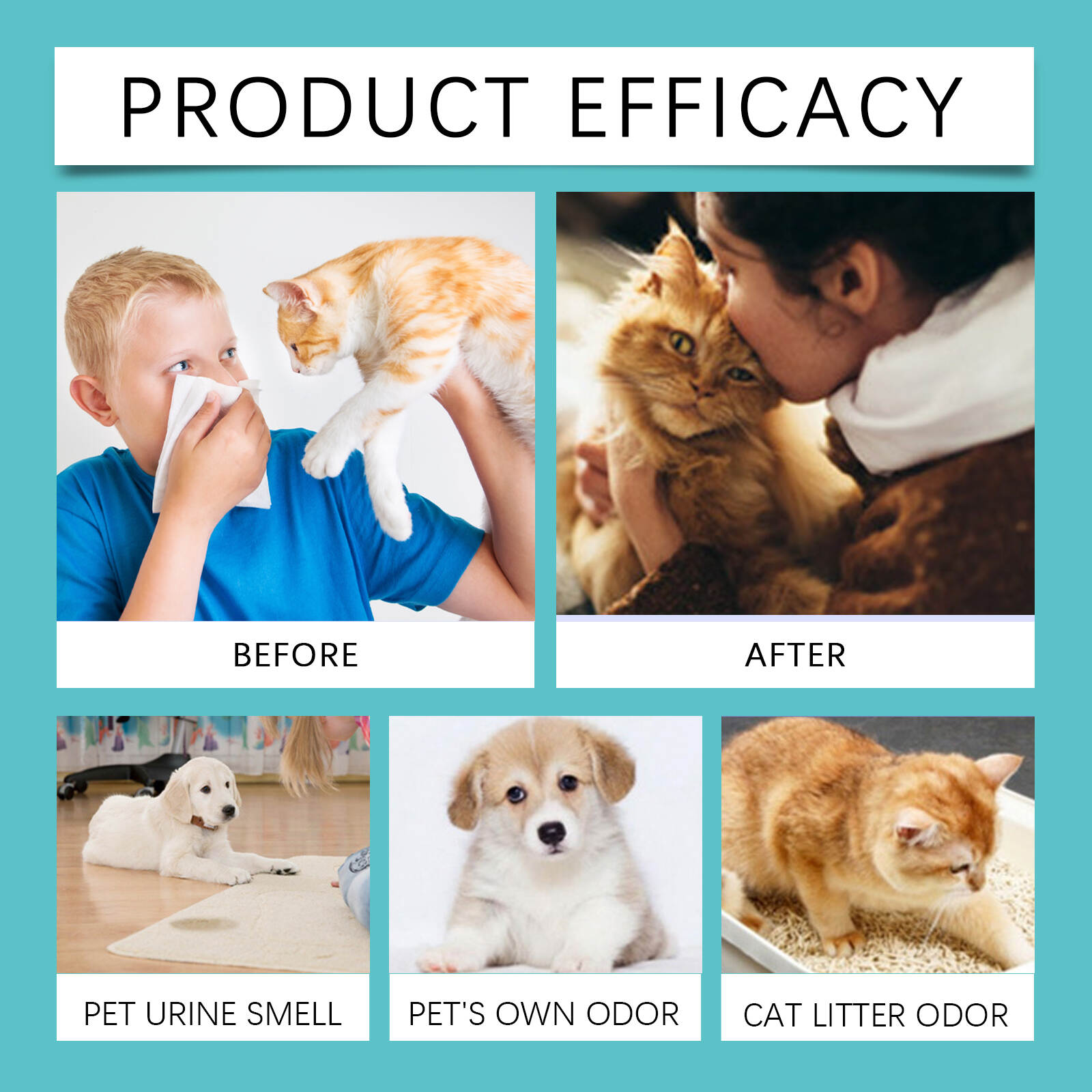 Pet Deodorizing Spray