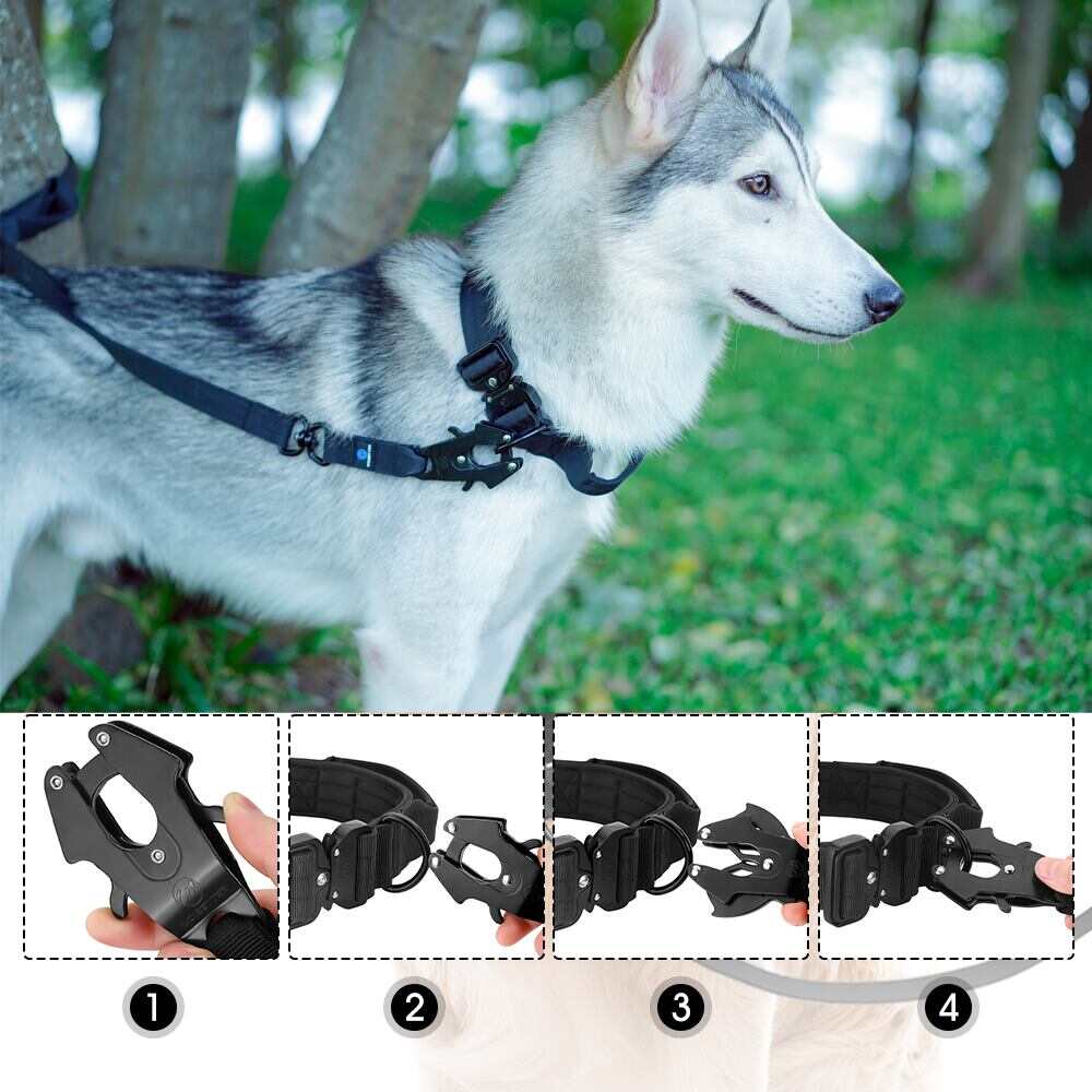 Heavy Duty Tactical Bungee K-9 Dog Leash