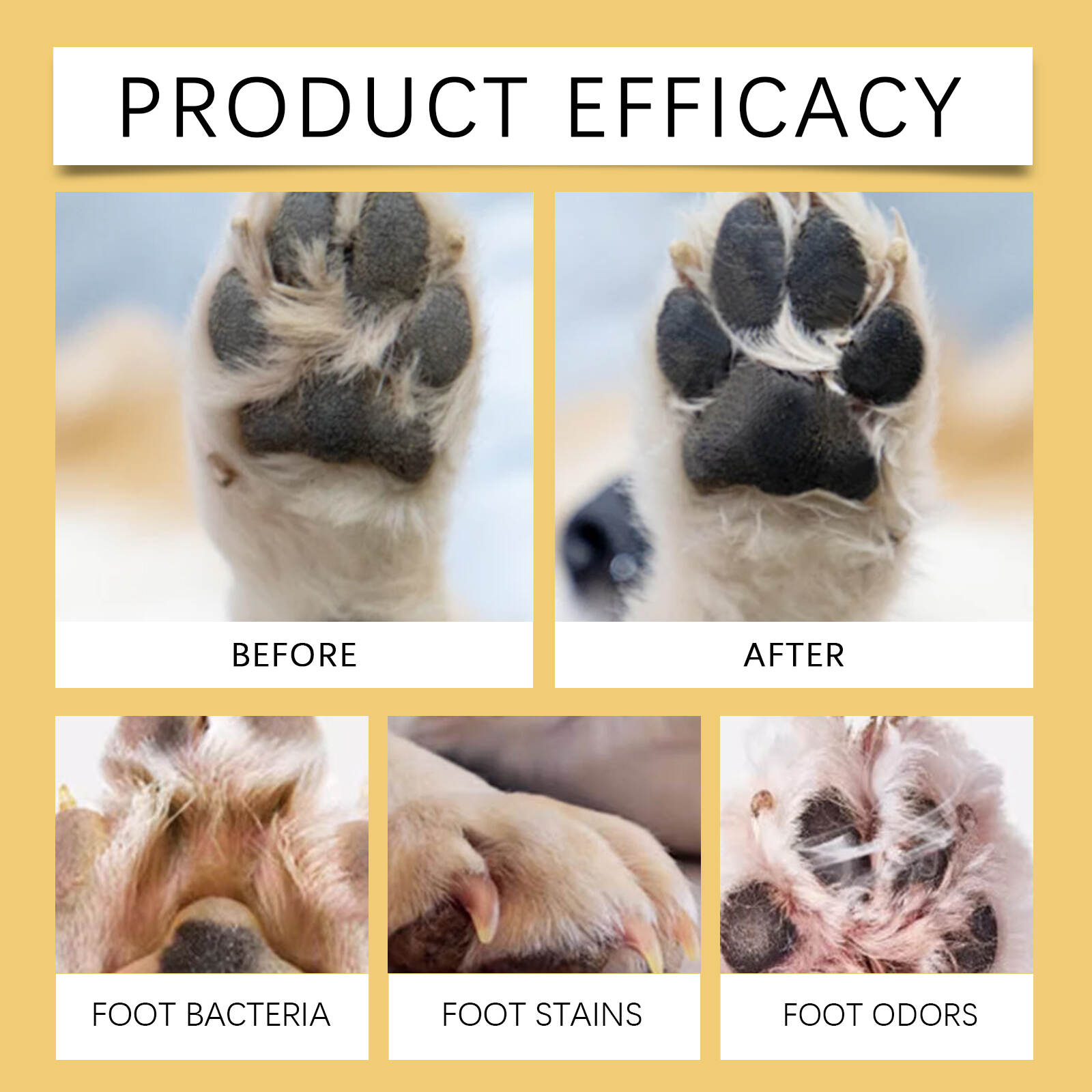 Paw Cleaner Foam Shampoo