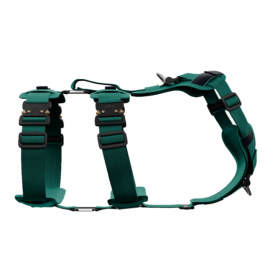 Ascension Extended Harness - Tazer Teal