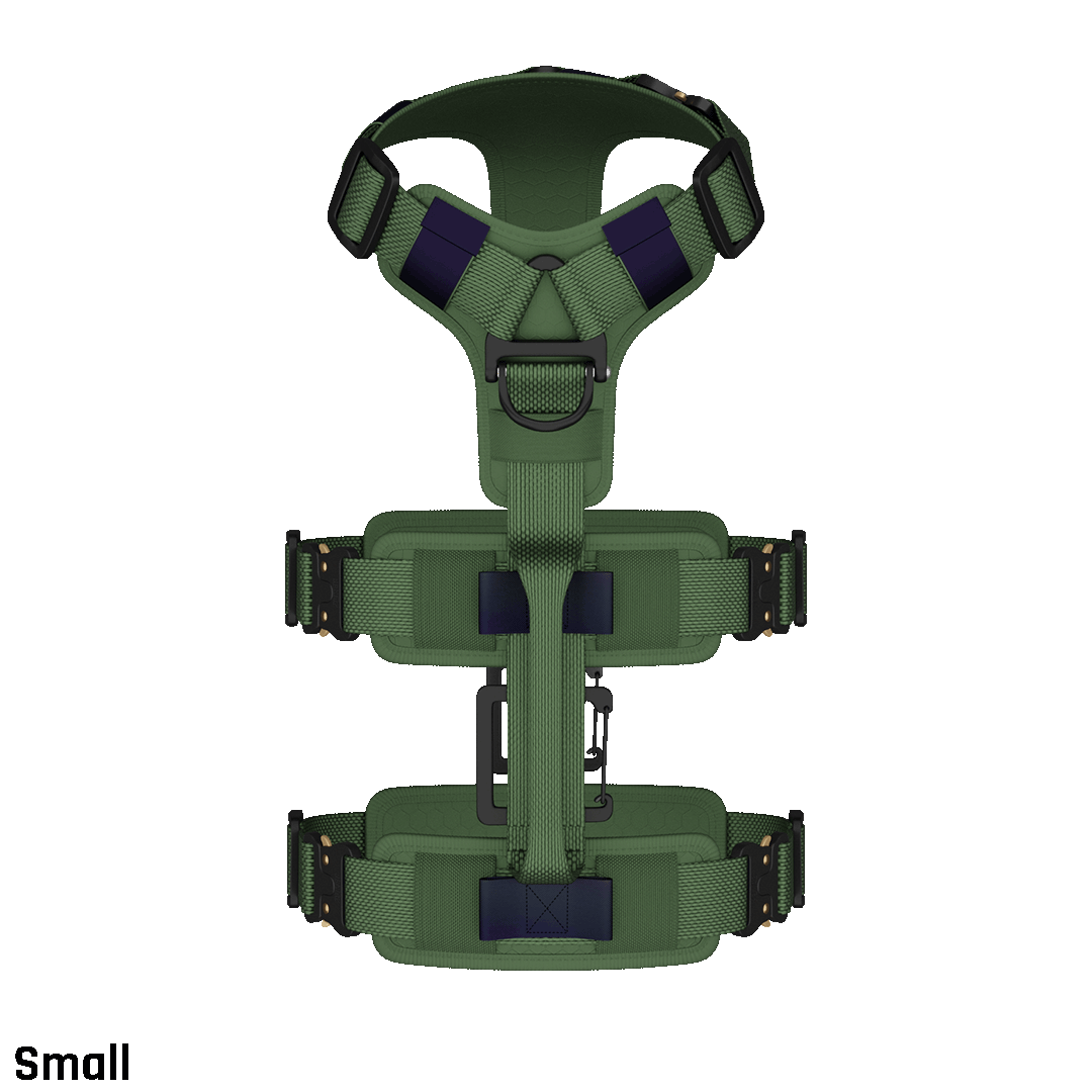 Ascension Extended Harness - Woodland Green