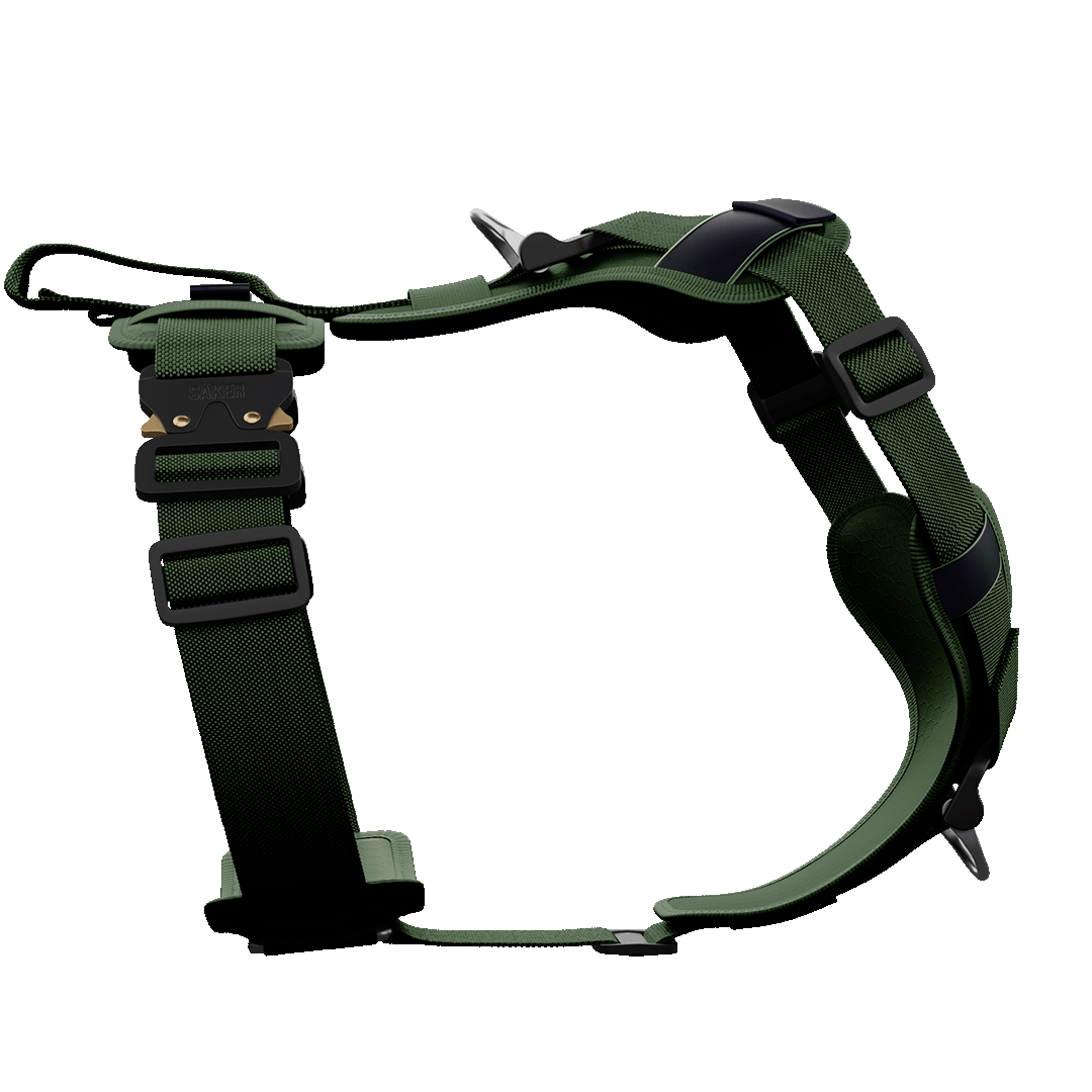 Ascension Core Harness - Woodland Green