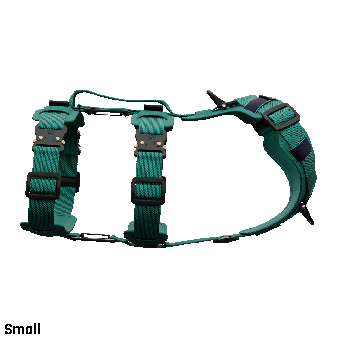 Ascension Extended Harness - Tazer Teal