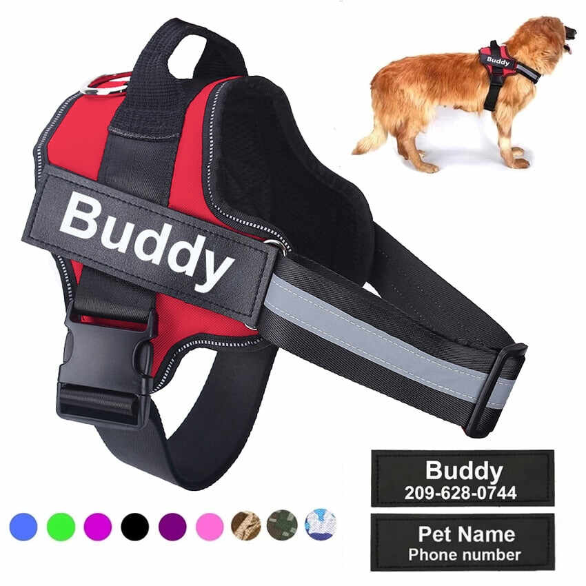 Personalized No Pull Dog Harness