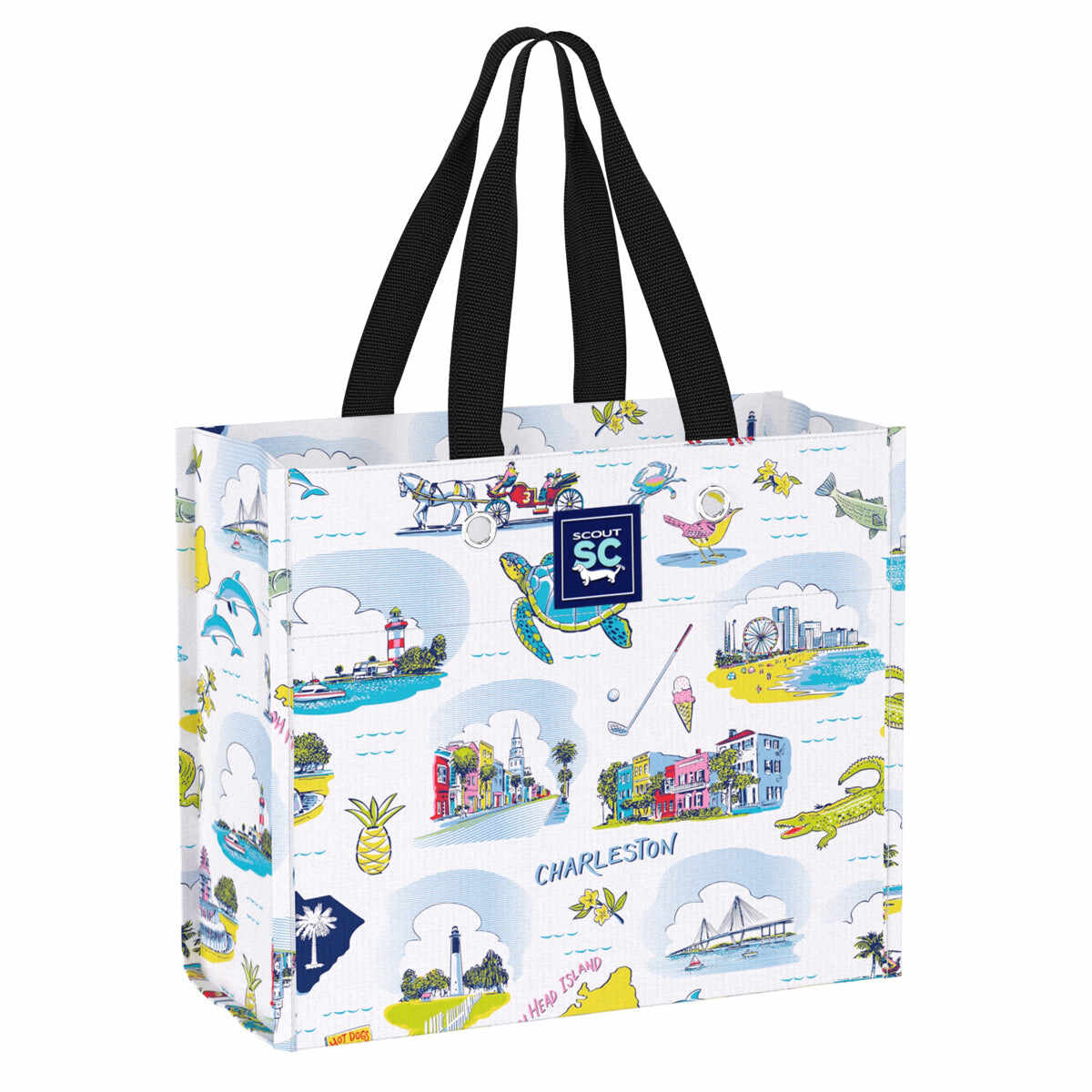 Large Package Gift Bag